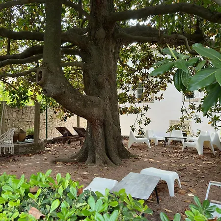 Bed & Breakfast La Lopud- Breakfast & Dinner Included