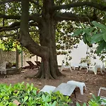 Bed & Breakfast La Lopud- Breakfast & Dinner Included