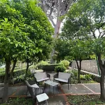 Bed & Breakfast La Lopud- Breakfast & Dinner Included
