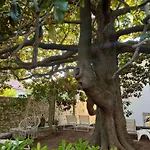 Bed & Breakfast La Lopud- Breakfast & Dinner Included Lopud