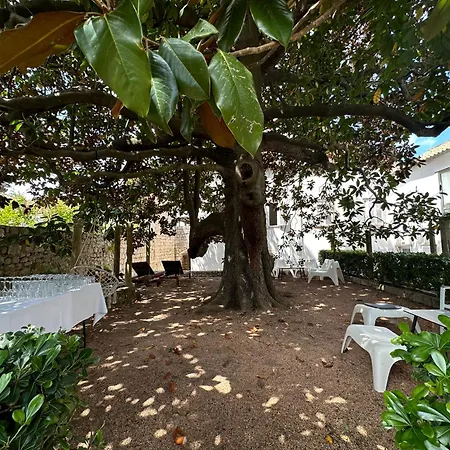 Bed & Breakfast- La Lopud