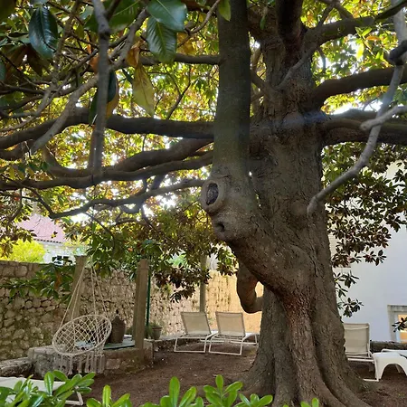 Bed and Breakfast Bed & Breakfast- La Lopud